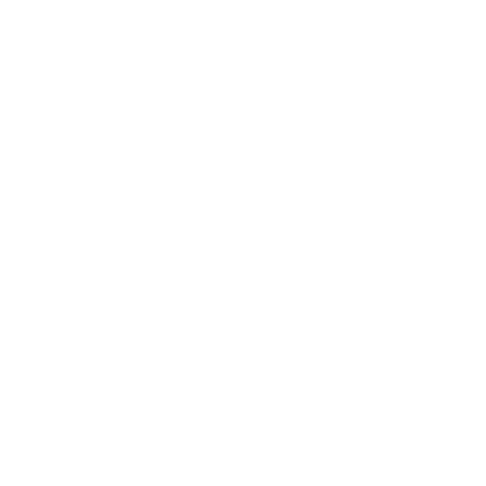 Logo The Drunky Stork Social Club